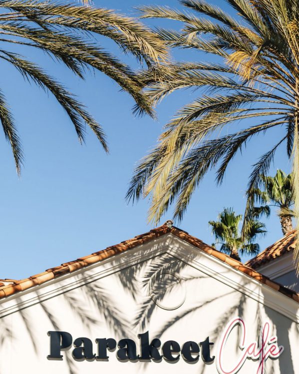 The Parakeet Café sign in black and pink script on a white Spanish gable, palm fronds throwing shadows across it against a clear blue sky.